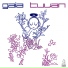 Armin van Buuren, Gaia