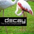 Decay