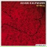 Achim Kaufmann feat. Jim Black, Valdi Kolli