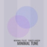 Tomer Aaron feat. Minimal Pulse