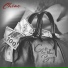 Chiae