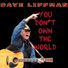 Dave Lippman feat. Bill Meyer