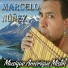 Marcelo Núñez