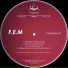 F.e.m