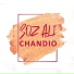 Soz Ali Chandio