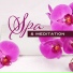 Meditation Zen Master