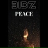 Bidz