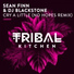 Sean Finn & DJ Blackstone feat. Liz
