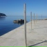 Tony McGreal