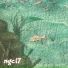 NGC 17