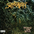 Suffocation - Breeding the Spawn