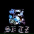 SETZ