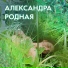 Александра Родная