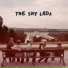 The Shy Lads