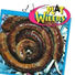 Plat Wieërs