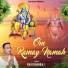 Ravi Dhanraj
