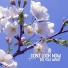 Dont Look Now
