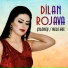 Dilan Rojava feat. Hazar Yıldız