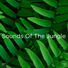 Nature Sounds, Nature Sounds Nature Music, BodyHI