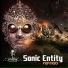 Sonic Entity