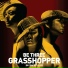 Grasshopper