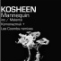 Kosheen, Visionz