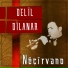 Delil Dilanar