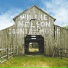 WILLIE NELSON - Country Music (2010)