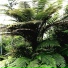 Spa, Mother Nature Sound FX, Yoga