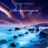 Flanger-Project