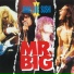 Mr. Big