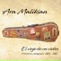 Ara Malikian