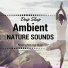 Ambient Sound Center