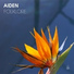 Aiden
