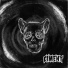 Ciment