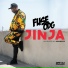 Fuse ODG