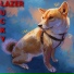 LAZER
