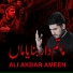 Ali Akbar Ameen