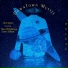 DownTown Mystic feat. Max Weinberg, Garry Tallent