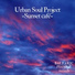 Urban Soul Project