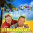 Strandgeier