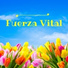 Fuerza Positiva