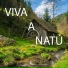 Caitano Lopes