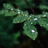 Big Sounds, Lluvia, Tinnitus Aid