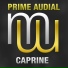 Prime Audial