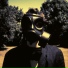 Steven Wilson