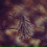 Relaxing Spa Music, Spa, Relaxing Music Therapy