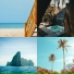 Dazzling Tropical Christmas