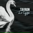 Tayron