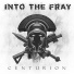 Into The Fray